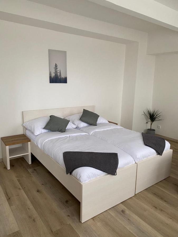 Apartment - Libusin Kladno